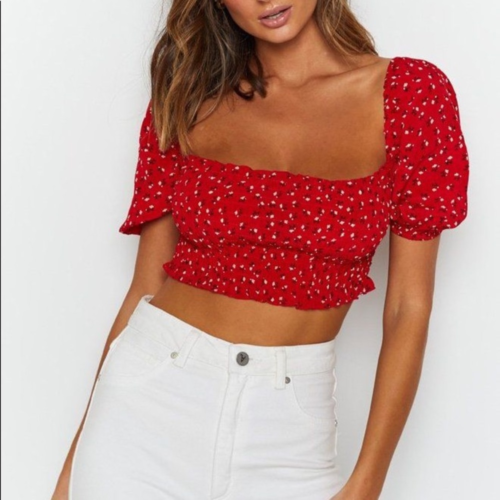 Beginning boutique villa crop top